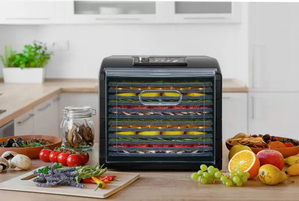 میوه خشک کن SENCOR SFD 6600BK